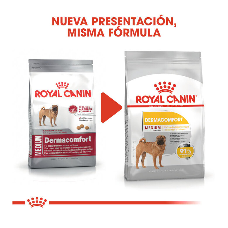 Royal Canin Dermacomfort Medium pienso para perros, , large image number null